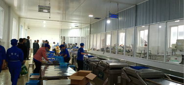 沐川縣政府信息公開軟件開發 提升政務透明度與便民服務效能